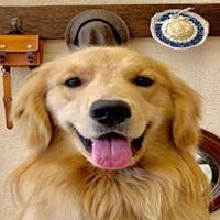 ルシアン旧軽井沢 【サマ割!FINAL】<ペット同伴ルーム>最大15%OFF+ポイント最大5倍