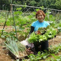 平山旅館 【50歳以上限定・特典付1泊2食】平日限定 少なめお料理+乾杯ビールの特典付