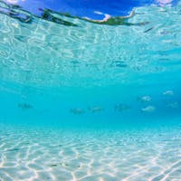 南の美ら花 ホテルミヤヒラ 【サマーセール】石垣島へ心癒されに行かなくちゃ!※清掃無し(朝食付)