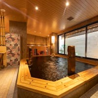 天然温泉 凌雲の湯 御宿 野乃 浅草(ドーミーインチェーン) 【ちか旅×大浴場】14時チェックイン!12歳以下添い寝無料<関東在住の方限定>(朝食付)