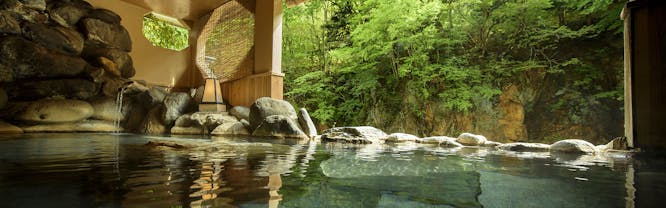 割烹旅館 湯の花荘