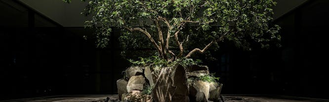 THE GENERAL KYOTO