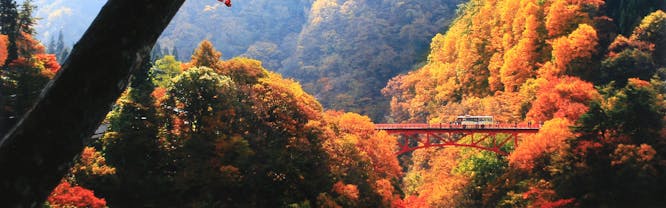 緑霞山宿 藤井荘