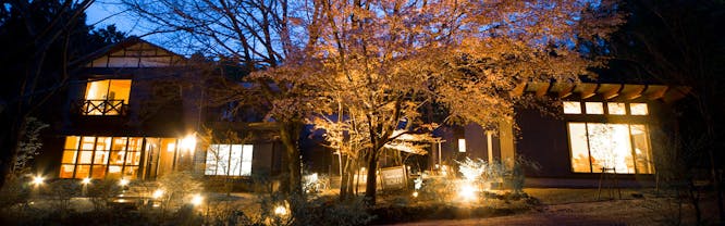 forest inn BORN