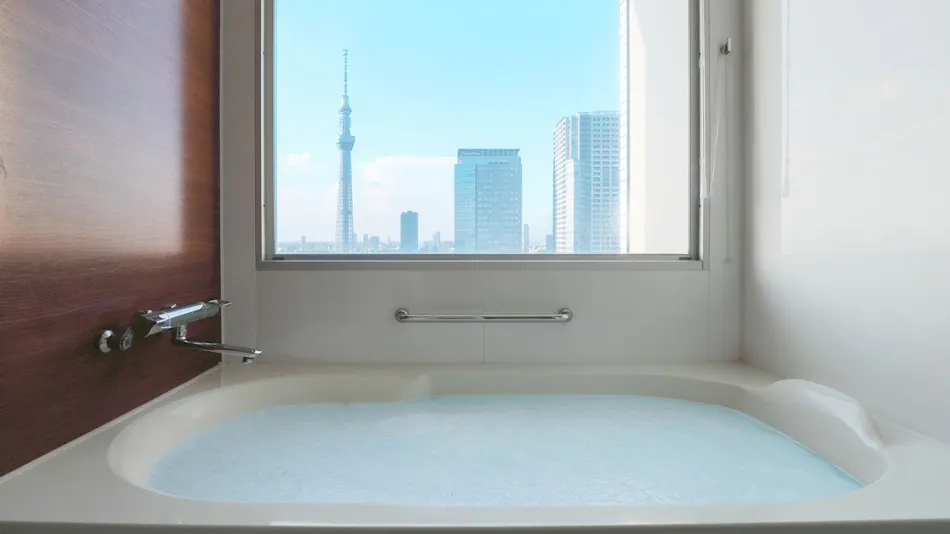 Lotte City Hotel Kinshicho