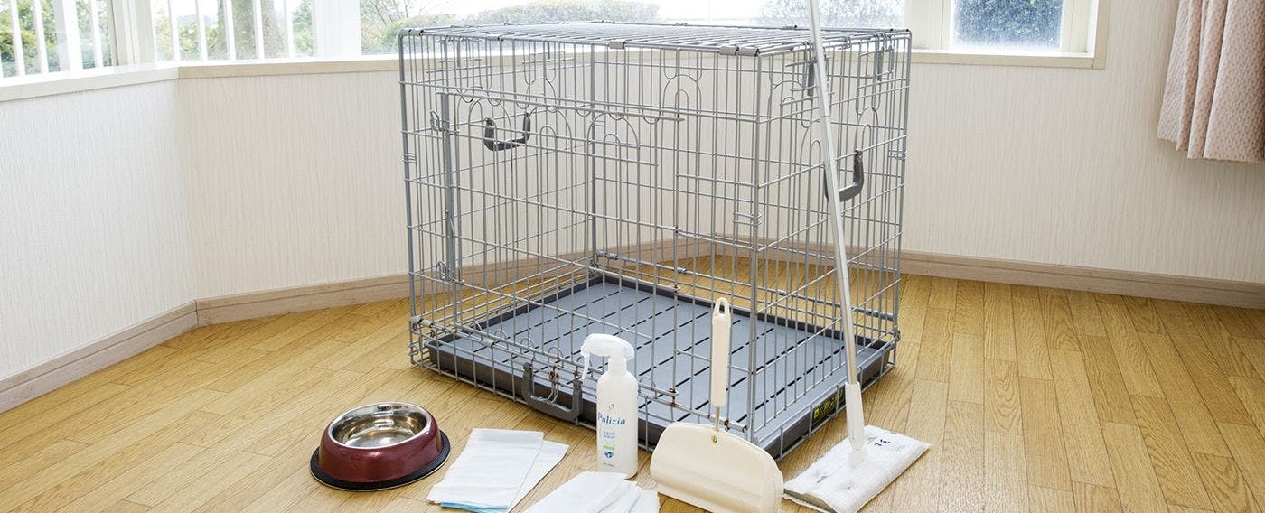 配备的狗狗用品