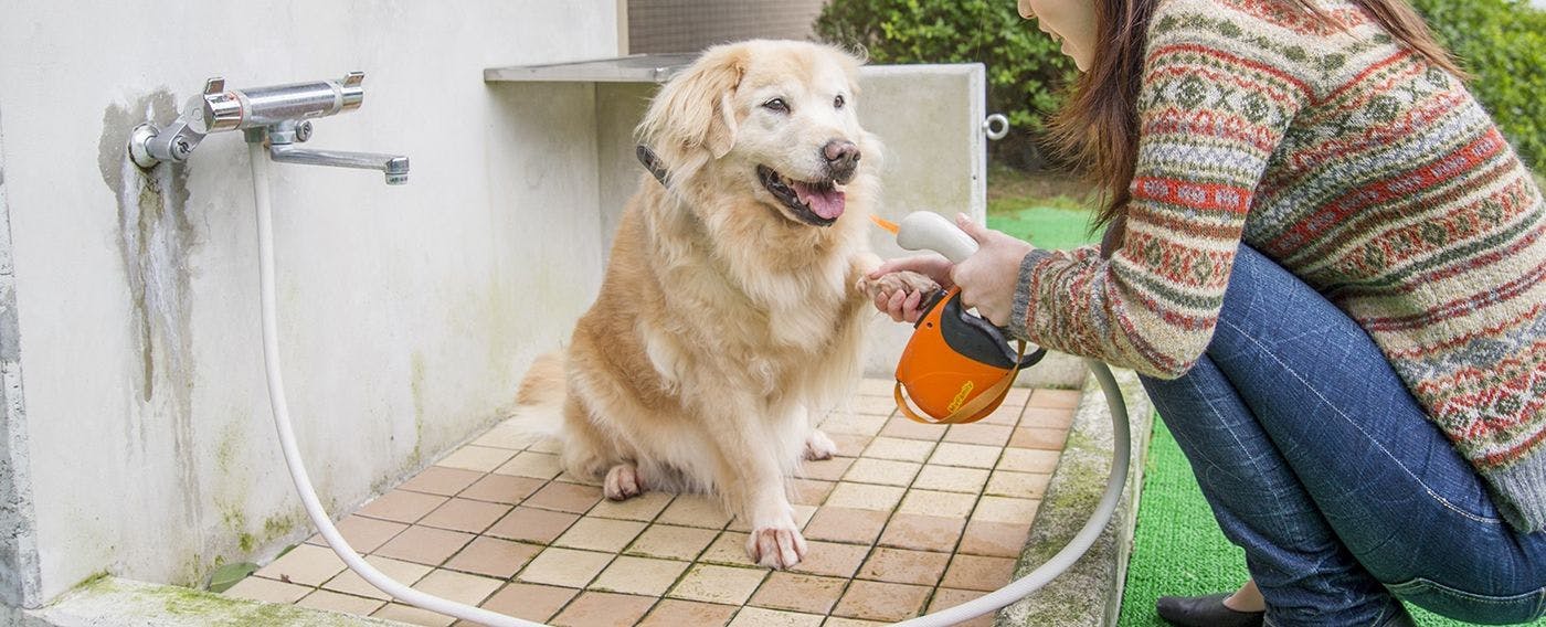 22年最新 箱根 熱海 伊豆 ペットと泊まれる宿ランキング Yahoo トラベル