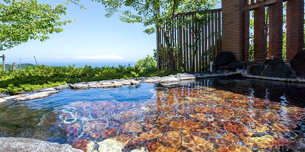 22年最新 伊豆シャボテン動物公園から近い宿ランキング 一休 Com 22年最新 伊豆シャボテン動物公園から近い宿ランキング 一休 Com