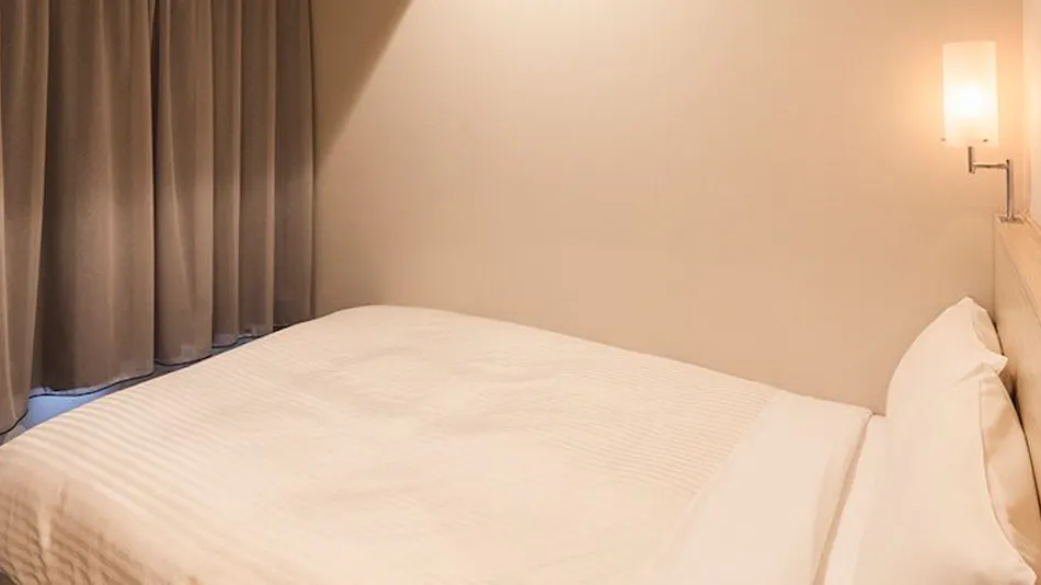 Sotetsu Fresa Inn Tokyo-Kyobashi