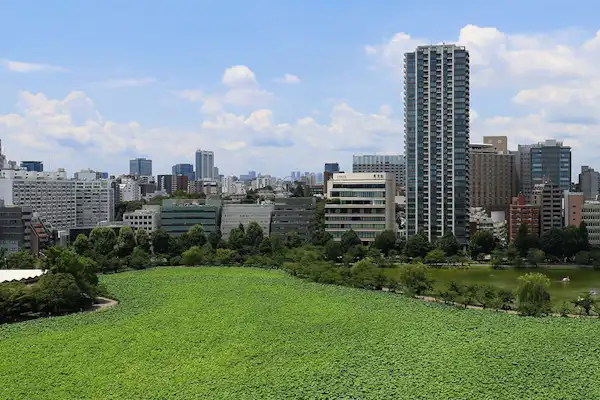 ทัศนียภาพ
