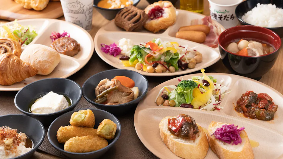 Super Hotel Premier Aso Kumamoto Airport