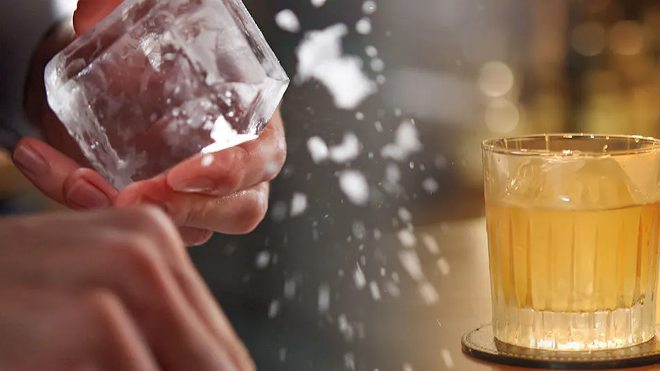 Hotel Sunroute Plaza Shinjuku