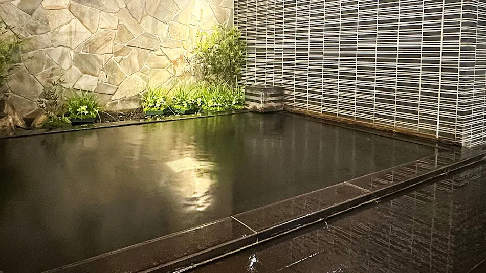 Hakata Natural Hot Spring "Tabibito no Yu" Hotel Route-Inn Hakata Ekimae