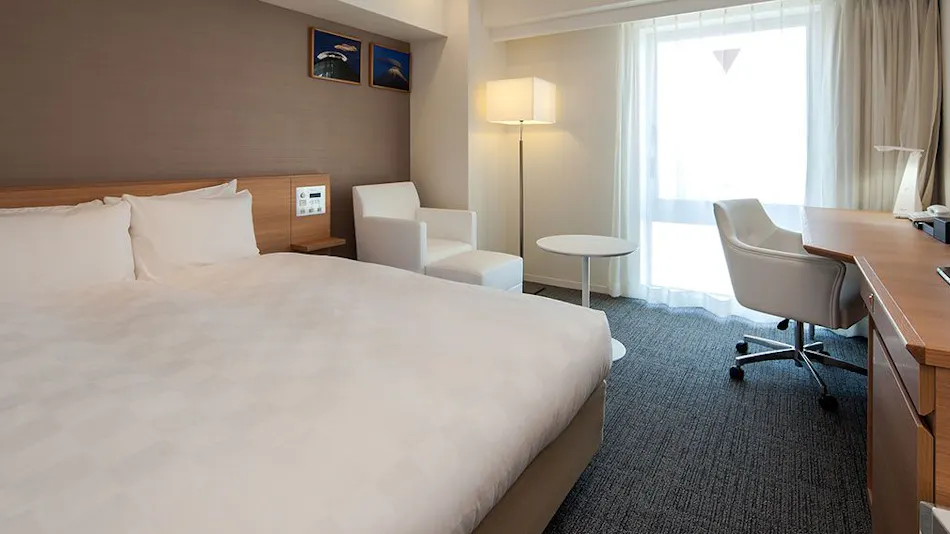 Daiwa Roynet Hotel Numazu