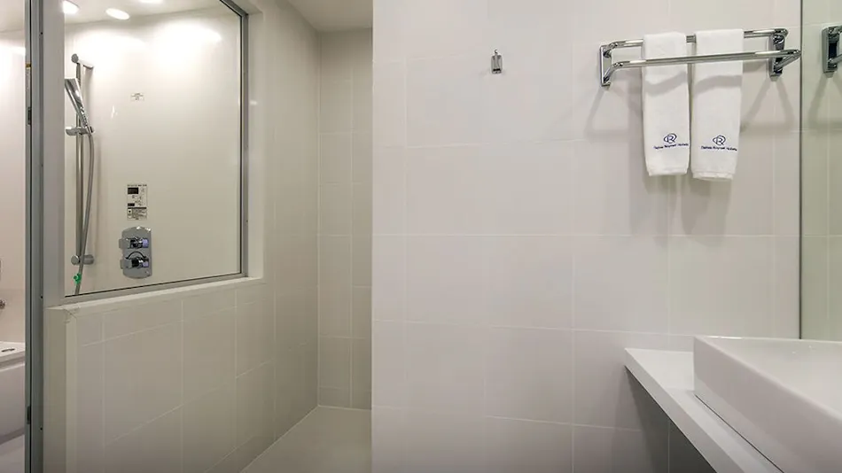 Daiwa Roynet Hotel Numazu