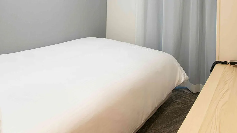 Sotetsu Fresa Inn Ueno-Okachimachi