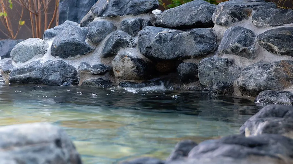 Wakura Natural Hot Spring "Suiren no Yu" GranVrio Hotel Nara Wakura - Route Inn Hotels -