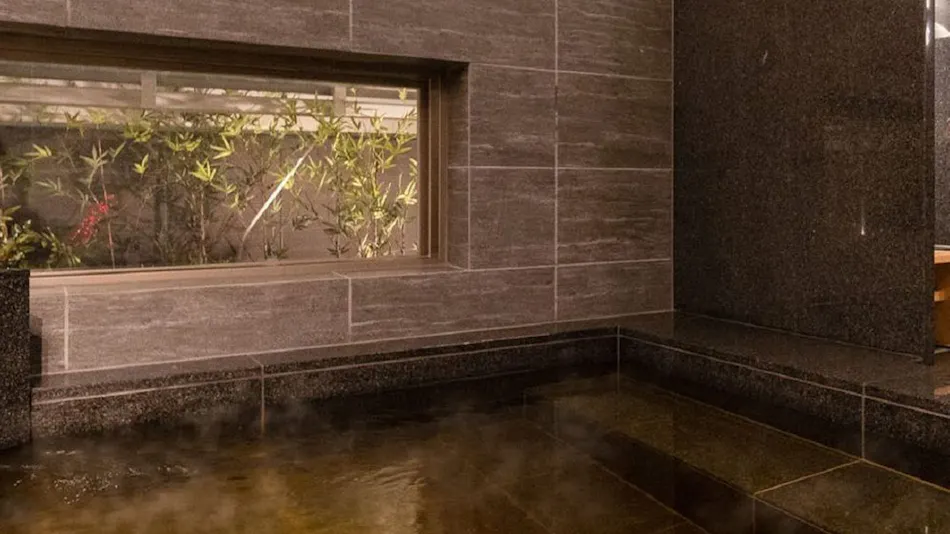 Natural Hot Spring Hikawa no Yu Super Hotel Premier Saitama Omiya Station East Exit