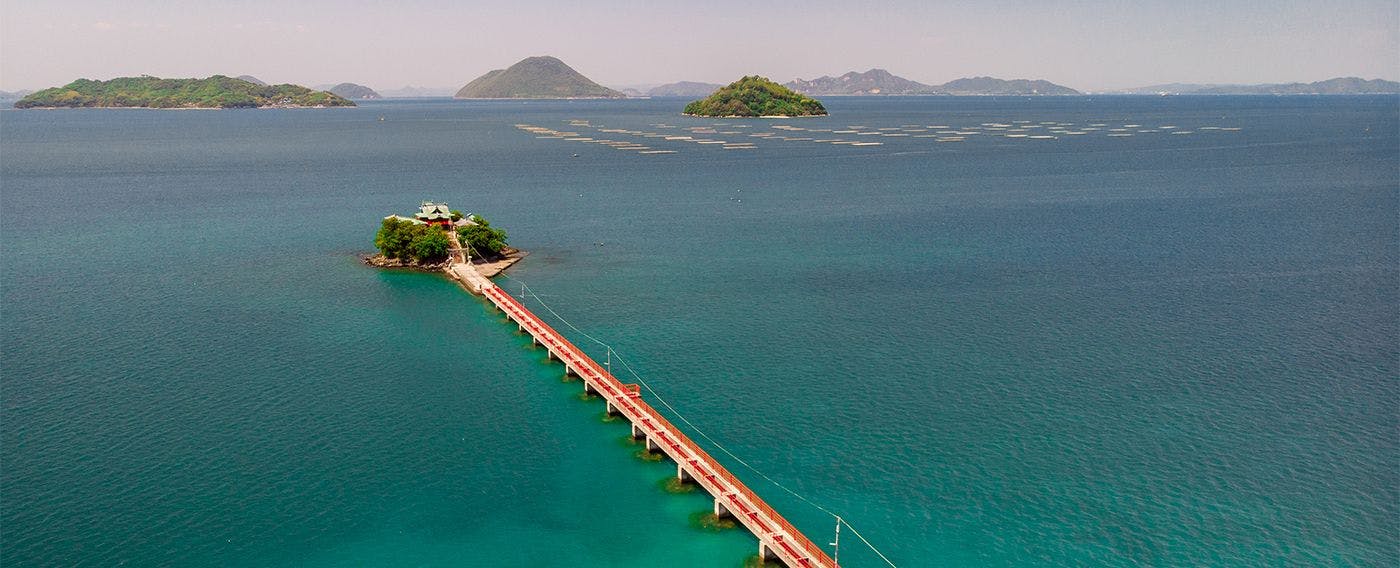 ศาลเจ้าสึชิมะสีฟ้าเขียว