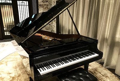 Steinway ＆ Sons SPIRIO