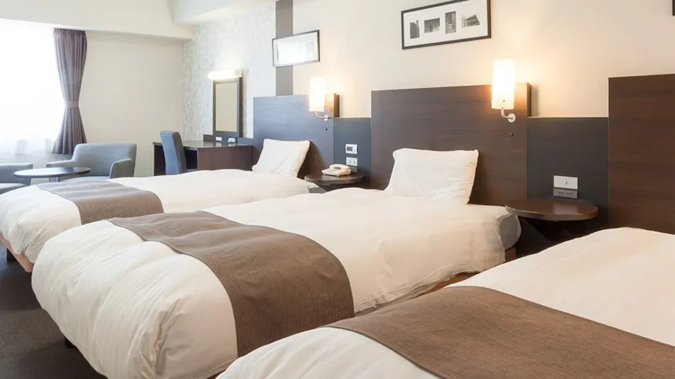 Comfort Hotel Central Intl. Airport