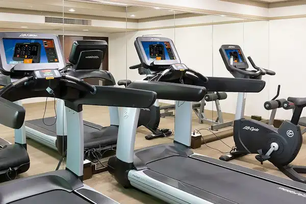 ลู่วิ่งออกกำลังกาย