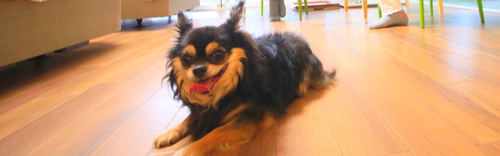 Reisenitt Kinosaki Suite VILLA