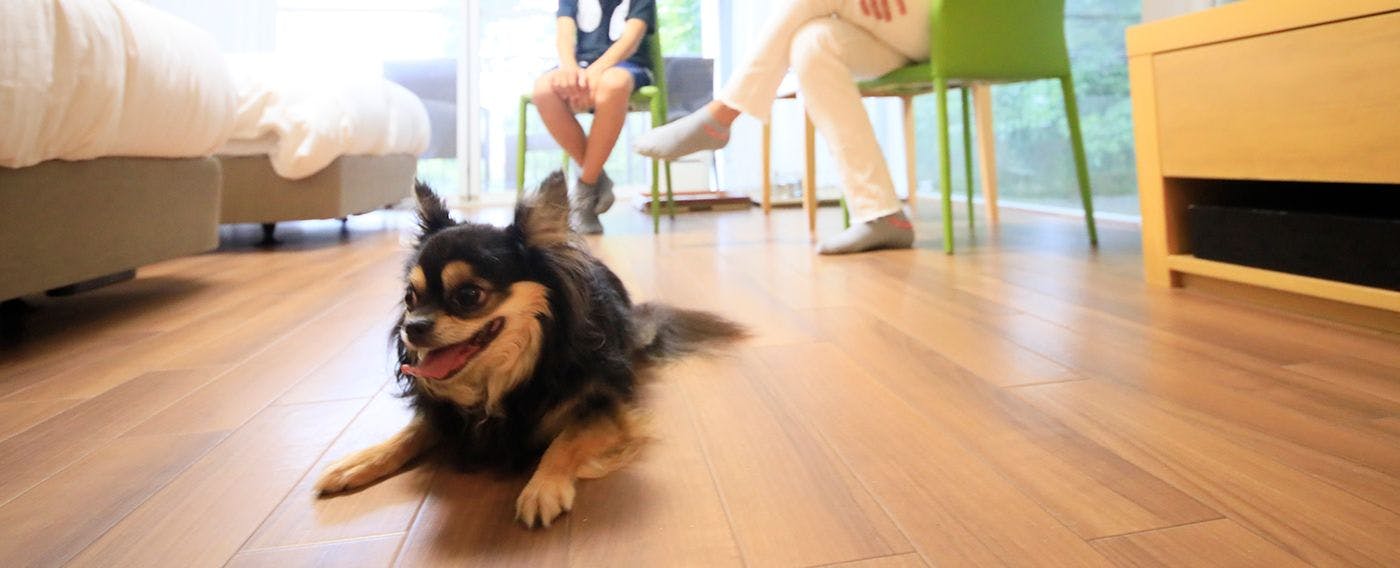 Reisenitt Kinosaki Suite VILLA