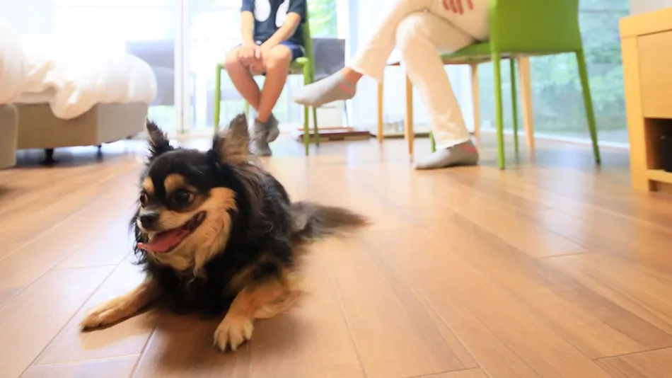 Reisenitt Kinosaki Suite VILLA