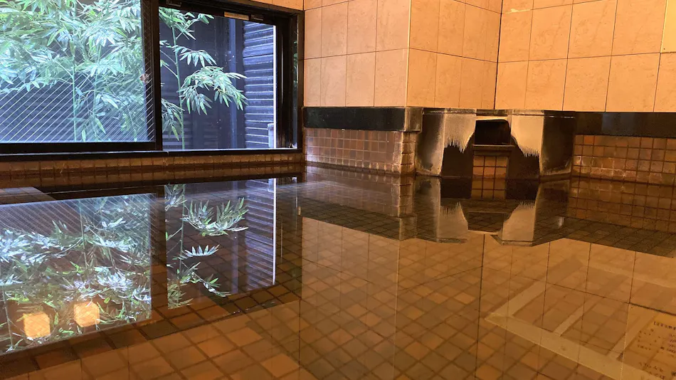 Green Rich Hotel Hiroshima Shinkansen-guchi (Artificial Hot Spring Futamata Yunohana)