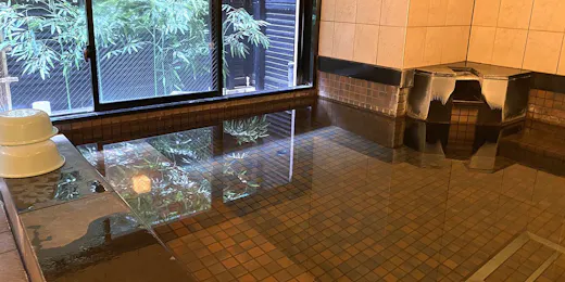 グリーンリッチホテル広島新幹線口(人工温泉 二股湯の華)