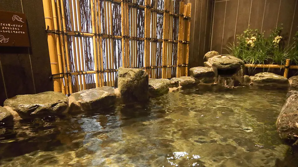 Natural Hot Spring Hanakaze no Yu Onyado Nono Namba (Dormy Inn Chain)