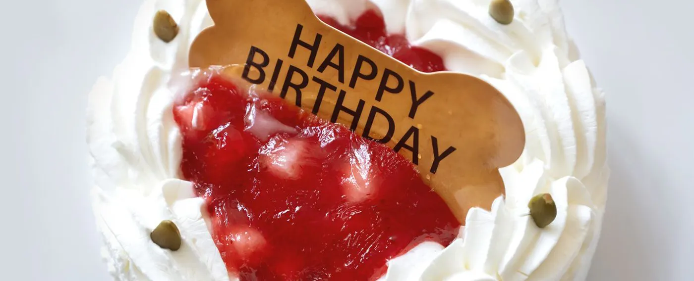 KEK ULANG TAHUN ANJING