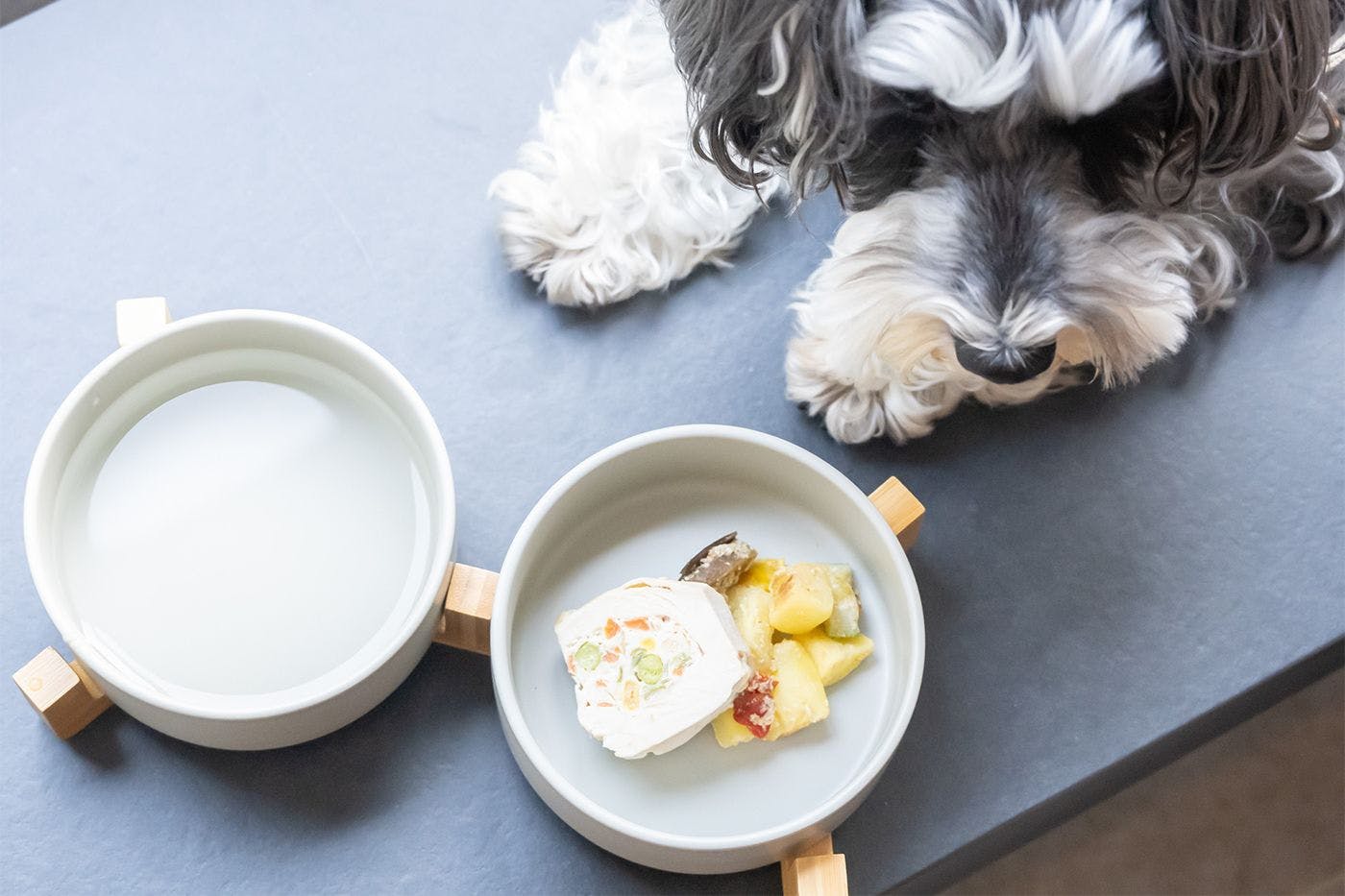 ホテル・アンドドギー京都二条