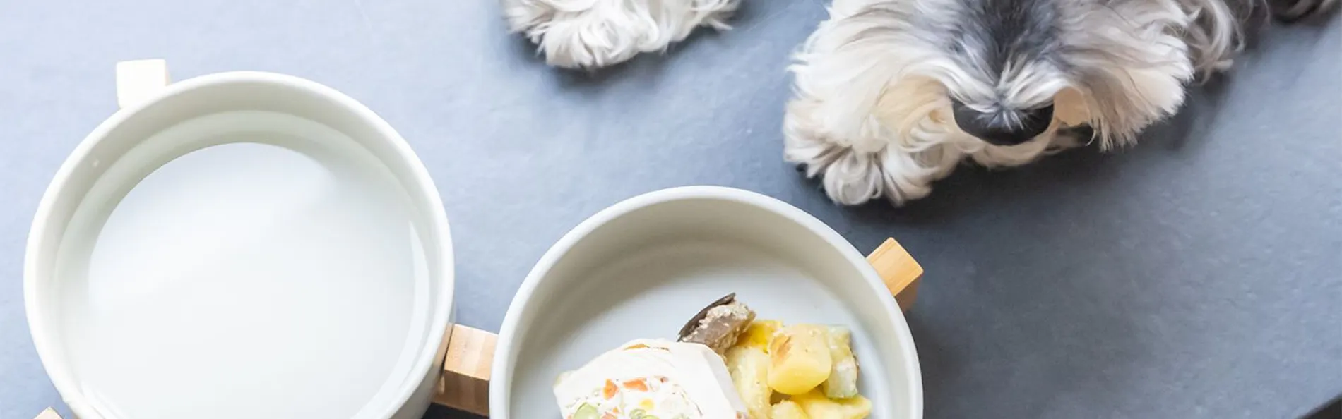 ホテル・アンドドギー京都二条