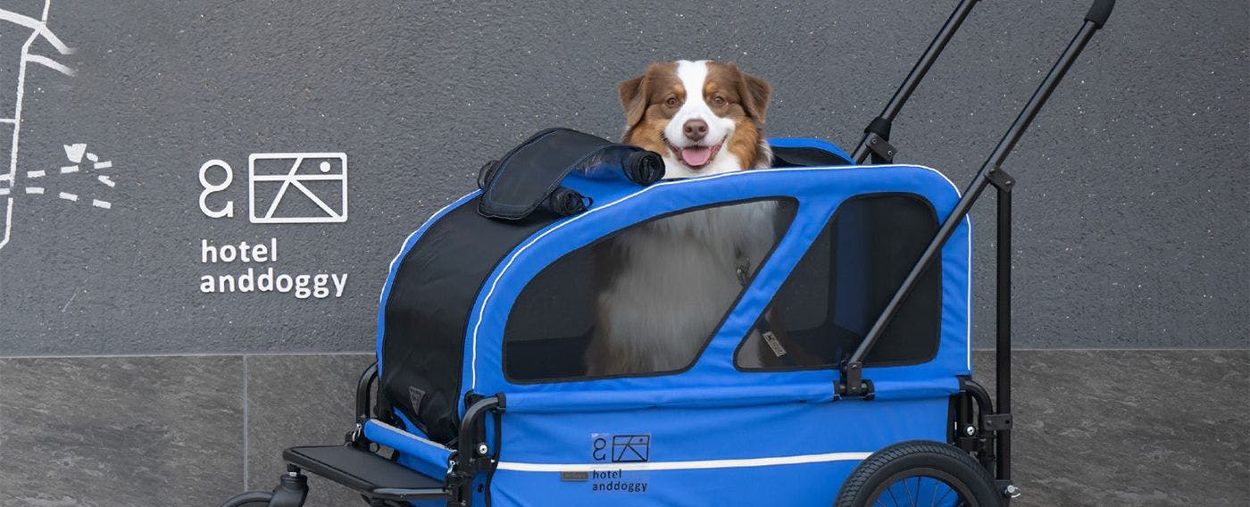 Kereta haiwan peliharaan