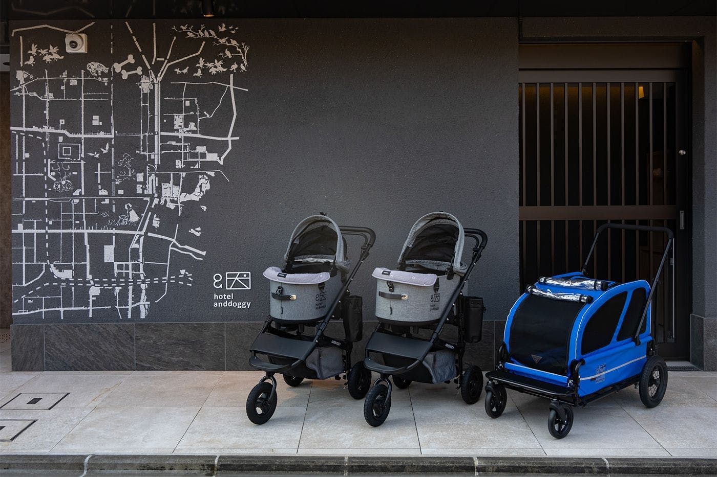 Kereta haiwan peliharaan