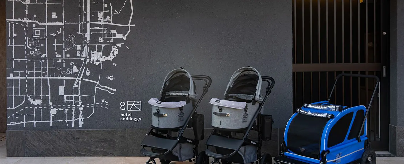 Kereta haiwan peliharaan