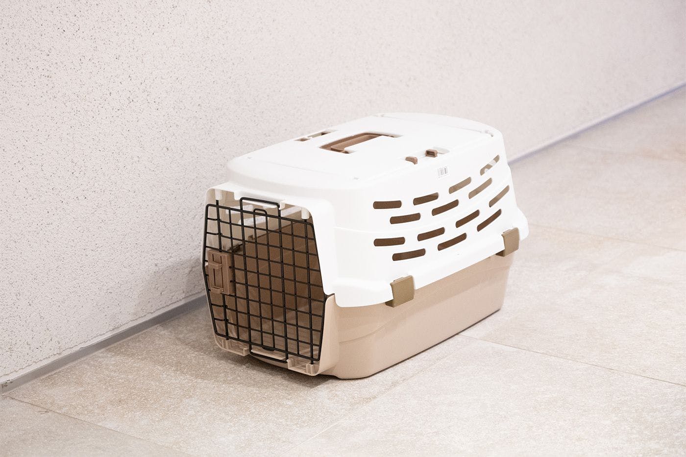 Kereta haiwan peliharaan