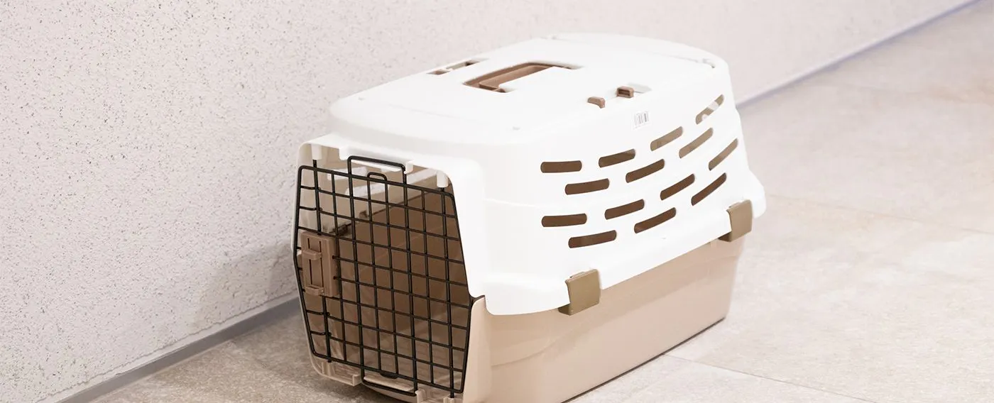 Kereta haiwan peliharaan