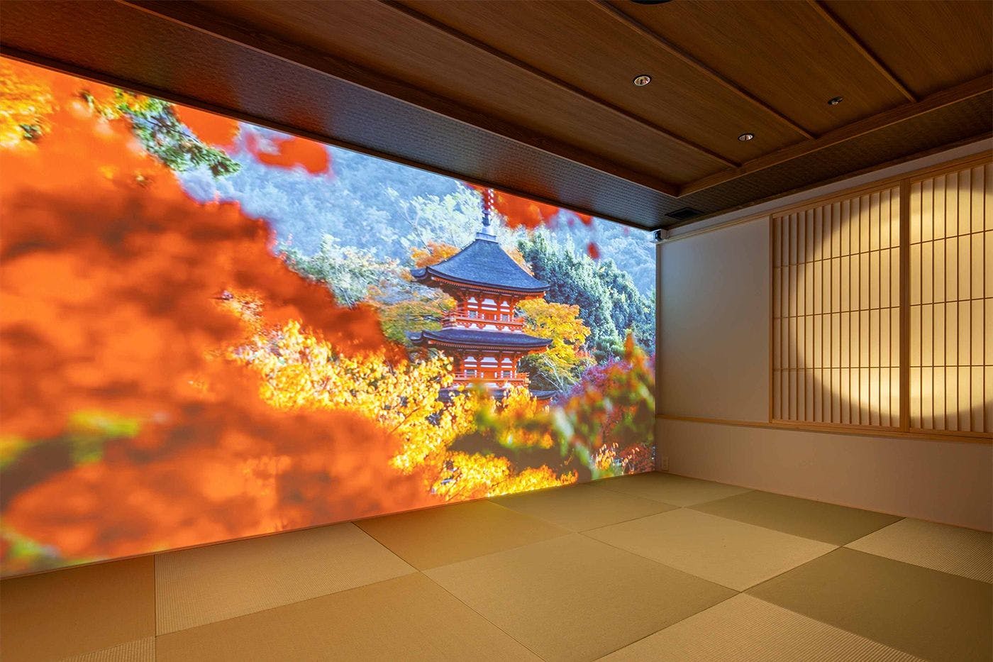 体験プログラム