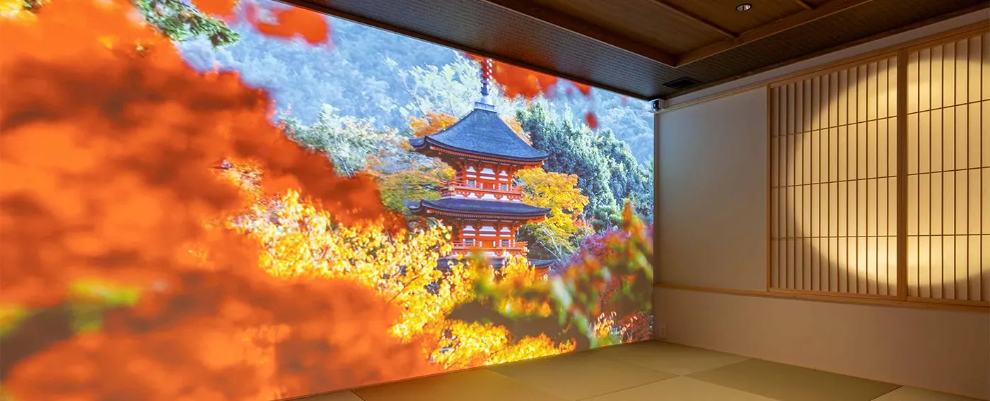 体験プログラム