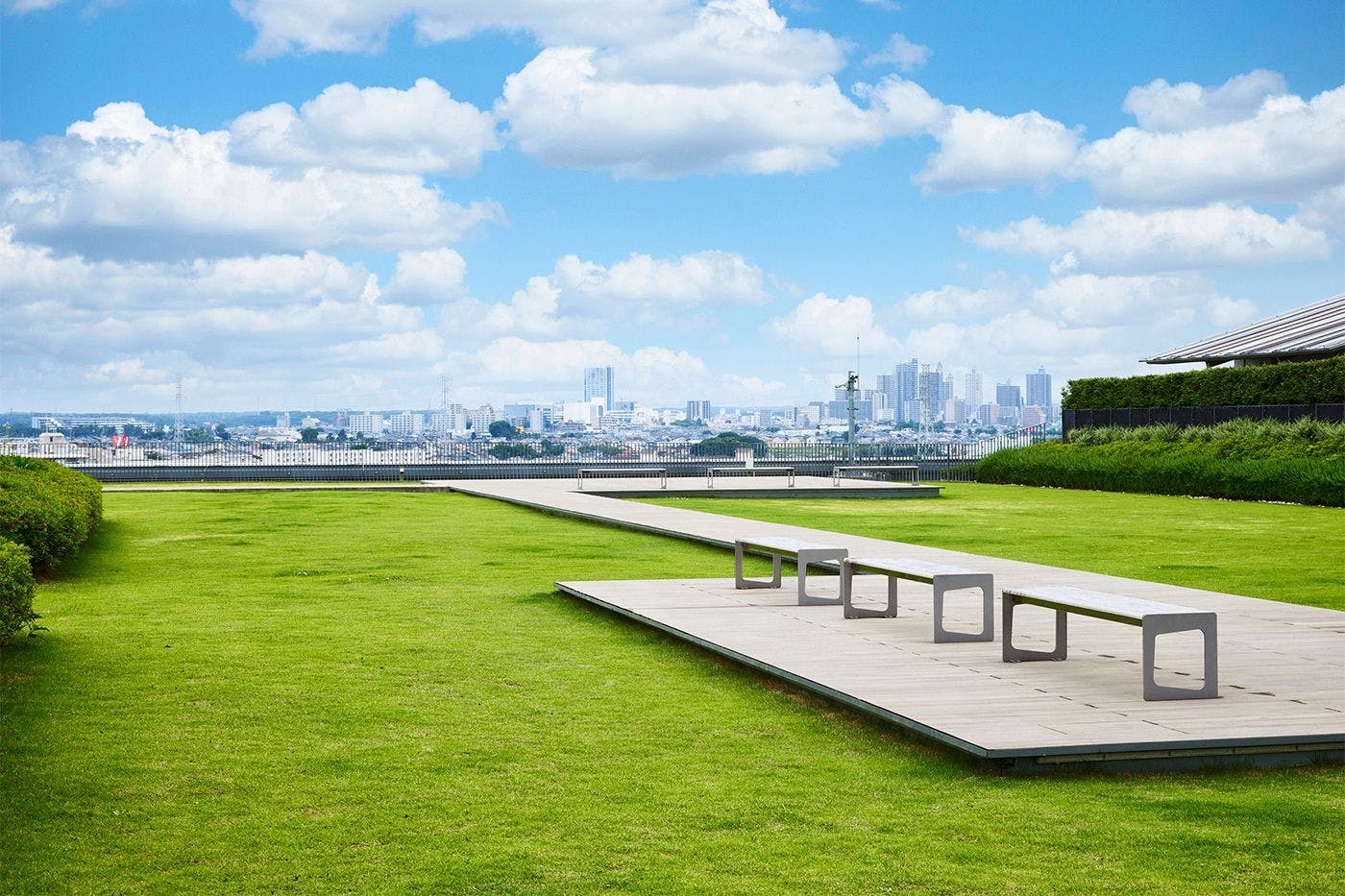 สวนบนดาดฟ้า