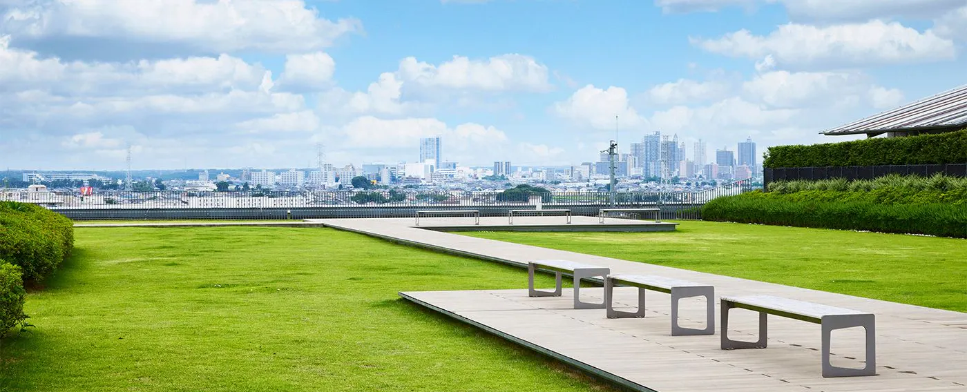 สวนบนดาดฟ้า