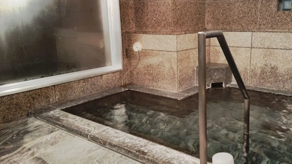 Hotel Route-Inn Gifu Hashima Ekimae