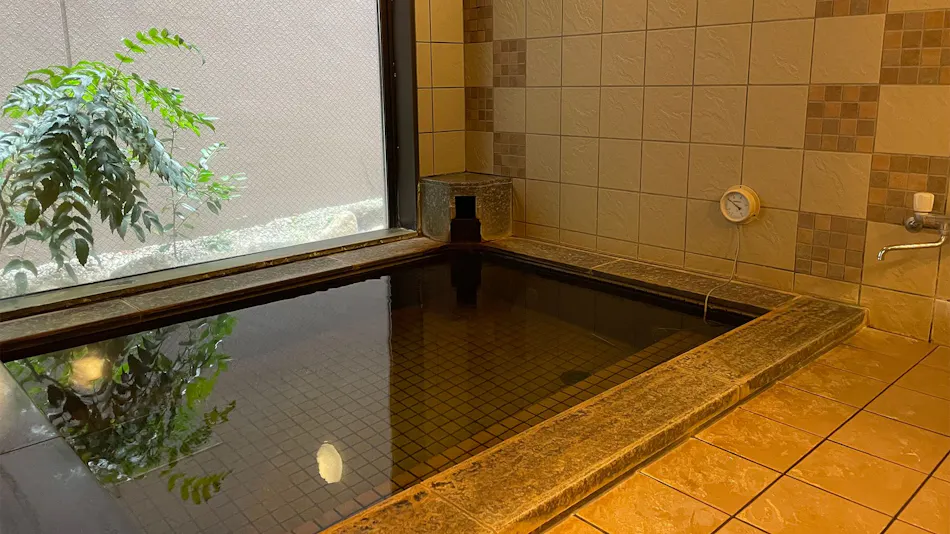 Furukawa Natural Hot Spring "Tabibito no Yu" Hotel Route-Inn Furukawa Ekimae