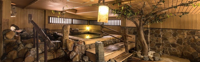 スパ無料付 文京区のカップル 夫婦におすすめのホテル 旅館 宿泊予約は 一休 Com スパ無料付 文京区のカップル 夫婦におすすめのホテル 旅館 宿泊予約は 一休 Com
