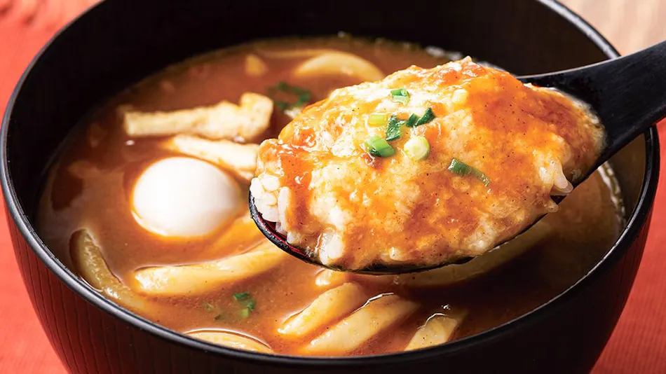 Comfort Hotel Toyohashi