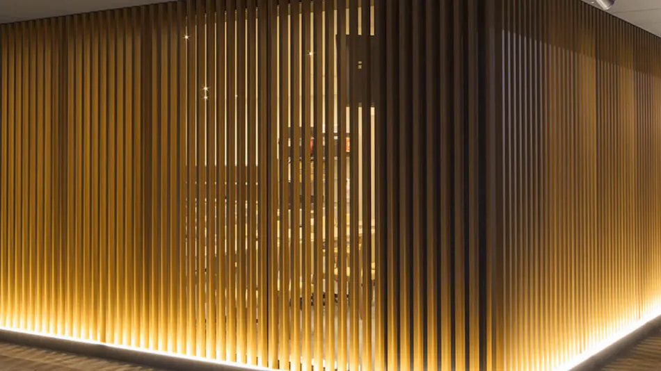 Sotetsu Fresa Inn Kyoto Station Hachijo-guchi