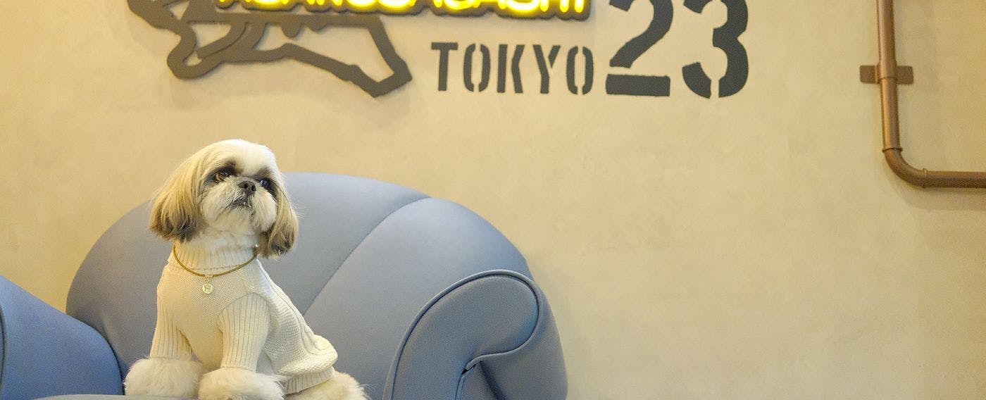 ドッグフレンドリーホテル